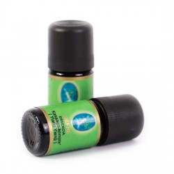 Ylang Ylang (Komple Kananga) Yağı - Organik 5ml